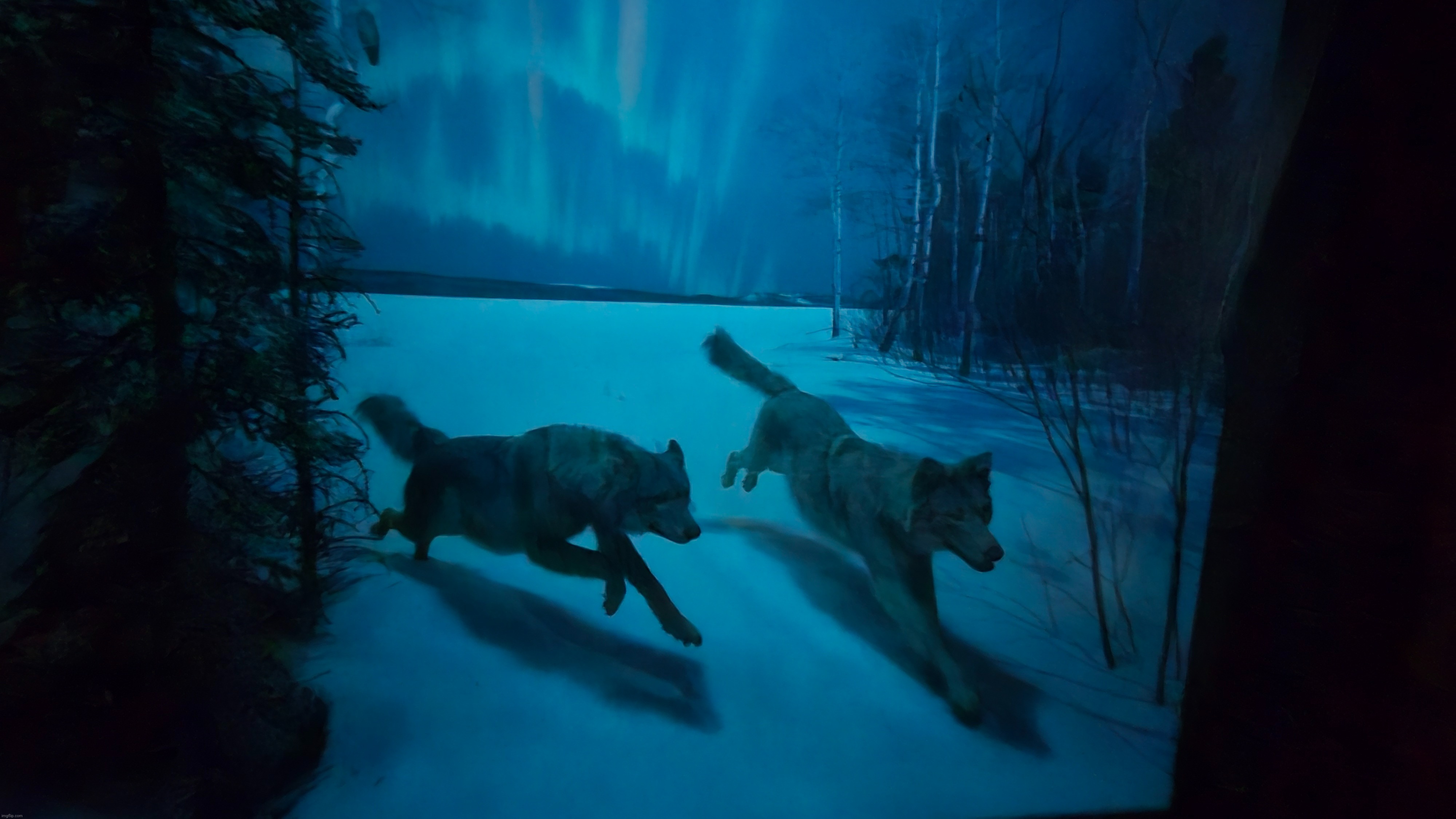 O shit | made w/ Imgflip meme maker