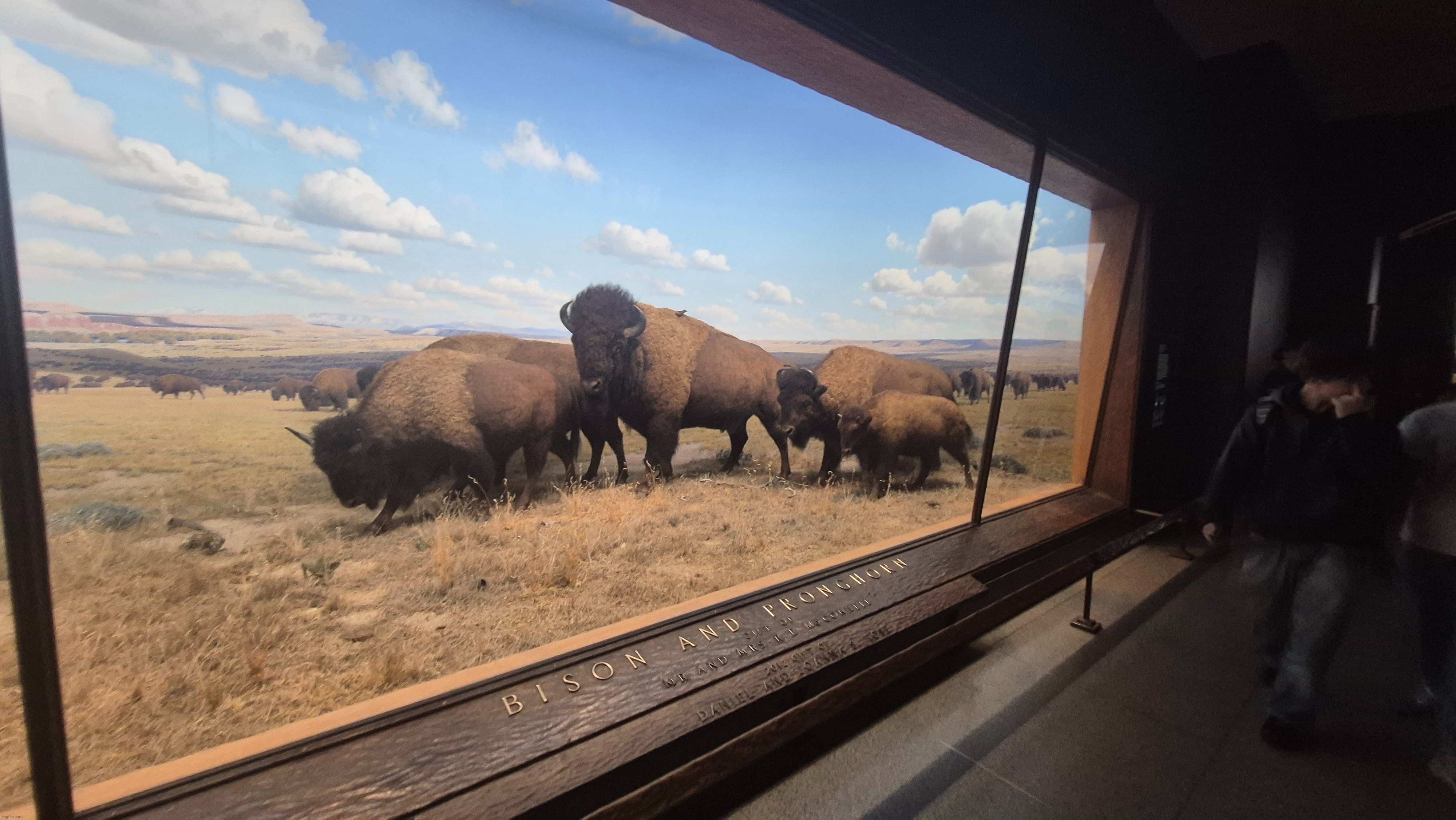 Fun | made w/ Imgflip meme maker