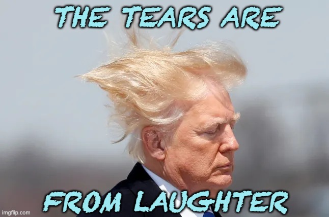 THE TEARS ARE FROM LAUGHTER | made w/ Imgflip meme maker