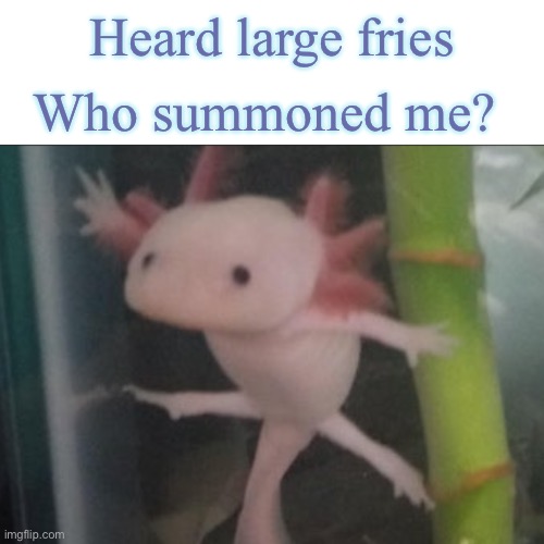 WHO HAS SUMMONED THE A X O L O T L | Heard large fries Who summoned me? | image tagged in who has summoned the a x o l o t l | made w/ Imgflip meme maker
