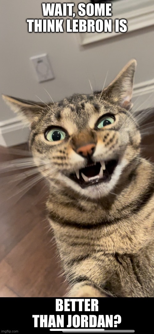 Wait, Some Think LeBron is Better Than Jordan? | WAIT, SOME THINK LEBRON IS; BETTER THAN JORDAN? | image tagged in fun,memes,sports,basketball,cats,funny cats | made w/ Imgflip meme maker