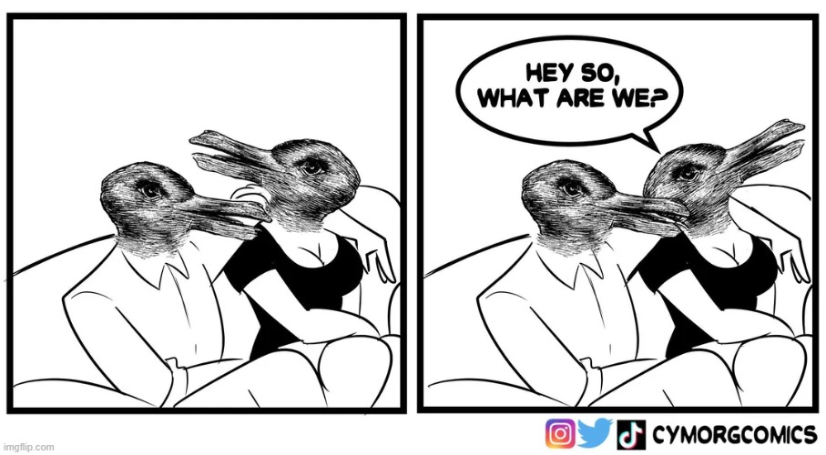 image tagged in couple,duck,rabbit,optical illusion | made w/ Imgflip meme maker