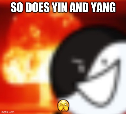 kaboom | SO DOES YIN AND YANG ? | image tagged in kaboom | made w/ Imgflip meme maker