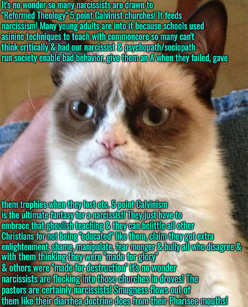 5 Point Narcissism | It's no wonder so many narcissists are drawn to "Reformed Theology" 5 point Calvinist churches! It feeds narcissism! Many young adults are into it because schools used asinine techniques to teach with commoncore so many can't think critically & had our narcissist & psychopath/sociopath run society enable bad behavior, give them an A when they failed, gave; them trophies when they lost etc. 5 point Calvinism is the ultimate fantasy for a narcissist! They just have to embrace that ghoulish teaching & they can belittle all other Christians for not being "educated" like them, claim they got extra enlightenment, shame, manipulate, fear monger & bully all who disagree &; with them thinking they were "made for glory" & others were "made for destruction" it's no wonder narcissists are flocking into those churches in droves! The pastors are certainly narcissists! Smugness flows out of them like their diarrhea doctrine does from their Pharisee mouths! | image tagged in grumpy cat,calvinism,arminian,molinism,reformed theology 5 point calvinists,narcissistic gnostic puppet theology | made w/ Imgflip meme maker
