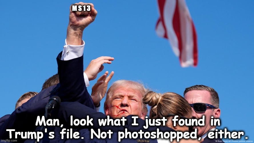 tRump's MS-13 Connection Revealed | M S 1 3; Man, look what I just found in Trump's file. Not photoshopped, either. | image tagged in it's a conspiracy,maga,donald trump is an idiot,nevertrump meme,illegal immigration,impeach trump | made w/ Imgflip meme maker
