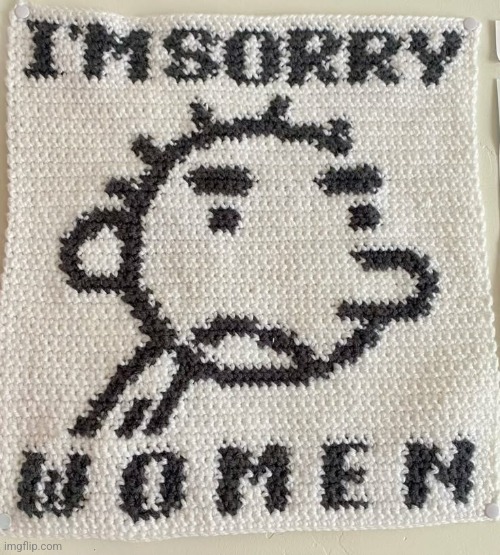 i sorry women | image tagged in diary of a wimpy kid | made w/ Imgflip meme maker