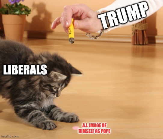 surely you've got him this time | TRUMP; LIBERALS; A.I. IMAGE OF HIMSELF AS POPE | image tagged in cat laser pointer | made w/ Imgflip meme maker