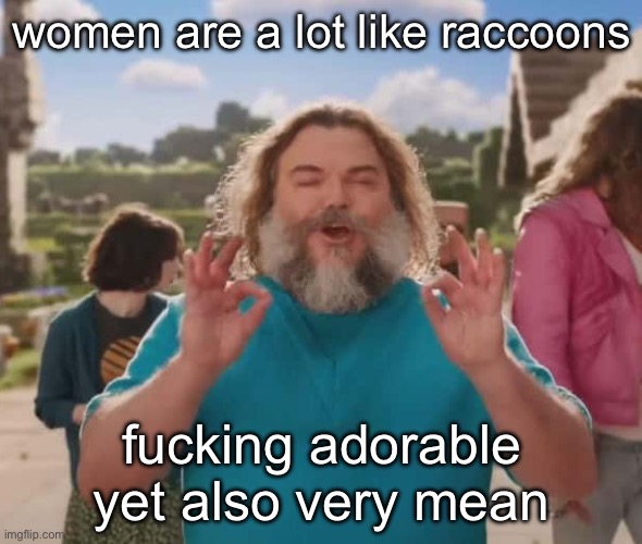 they love crushin a loaf | women are a lot like raccoons; fucking adorable yet also very mean | image tagged in they love crushin a loaf | made w/ Imgflip meme maker