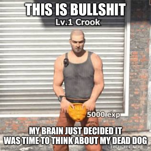 Lv 1 crook | THIS IS BULLSHIT; MY BRAIN JUST DECIDED IT WAS TIME TO THINK ABOUT MY DEAD DOG | image tagged in lv 1 crook | made w/ Imgflip meme maker