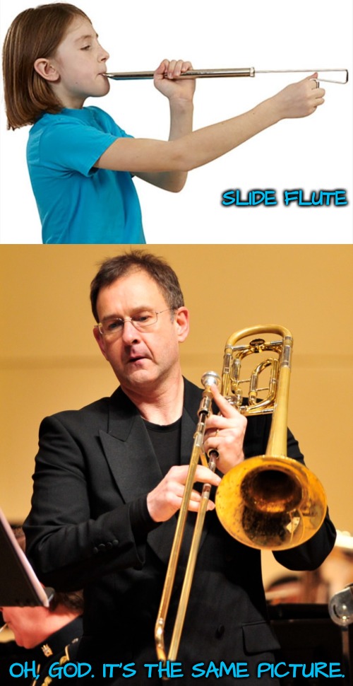 When Your Instrument Reveals Your Age | SLIDE FLUTE; OH, GOD. IT'S THE SAME PICTURE. | image tagged in trombone | made w/ Imgflip meme maker