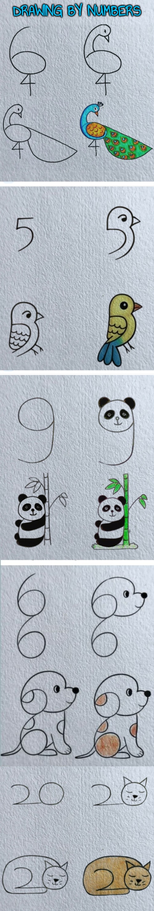 Drawing by Numbers | DRAWING BY NUMBERS | image tagged in drawing | made w/ Imgflip meme maker