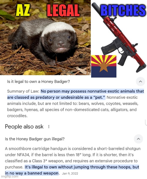 Honey badgers of Arizona | LEGAL; BITCHES; AZ | image tagged in honey badger,arizona,guns | made w/ Imgflip meme maker