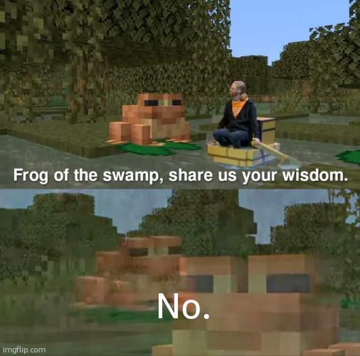 no. | No. | image tagged in frog of the swamp share us your wisdom | made w/ Imgflip meme maker
