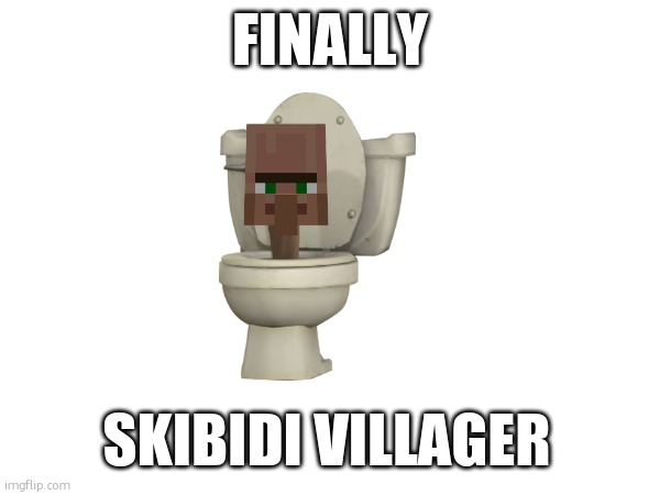 what have i done | FINALLY; SKIBIDI VILLAGER | made w/ Imgflip meme maker