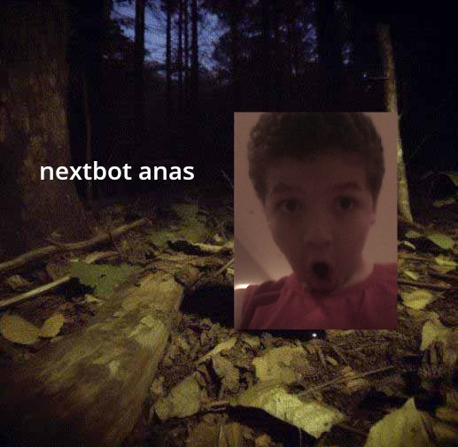 Nextbots anas Blank Meme Template