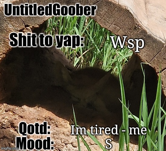 UntitledGoober's MSMG announcement temp | Wsp; Im tired - me; S | image tagged in untitledgoober's msmg announcement temp | made w/ Imgflip meme maker