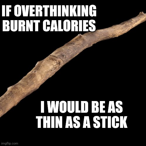 Wooden stick | IF OVERTHINKING BURNT CALORIES; I WOULD BE AS THIN AS A STICK | image tagged in wooden stick | made w/ Imgflip meme maker