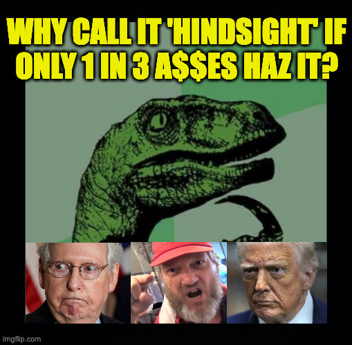 Philosovoter. | WHY CALL IT 'HINDSIGHT' IF
ONLY 1 IN 3 A$$ES HAZ IT? | image tagged in memes,philosoraptor,hindsight | made w/ Imgflip meme maker