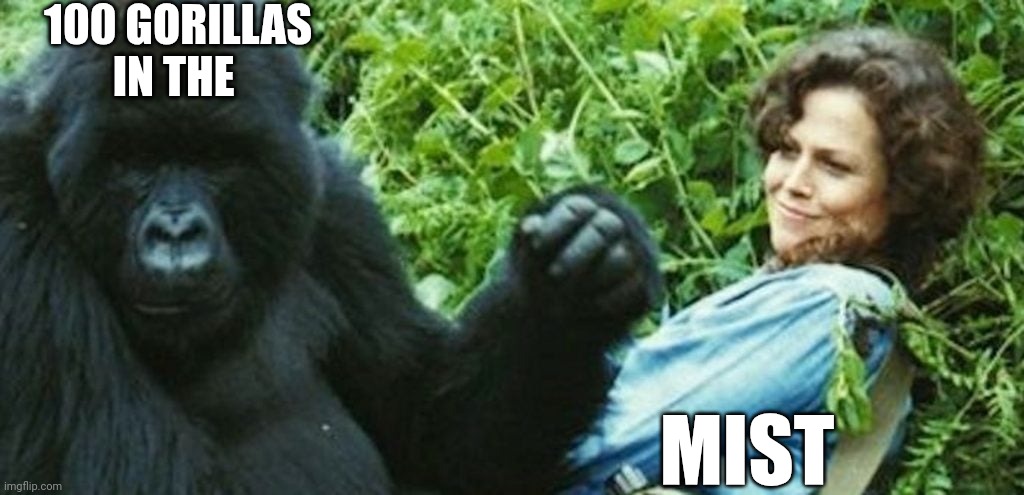 Brown Chicken Brown Cow | 100 GORILLAS IN THE; MIST | image tagged in gorilla,gangbang,sigourney weaver | made w/ Imgflip meme maker