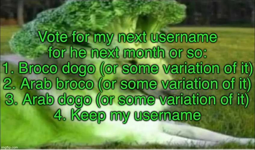Broco dogo | Vote for my next username for he next month or so:
1. Broco dogo (or some variation of it)
2. Arab broco (or some variation of it)
3. Arab dogo (or some variation of it)
4. Keep my username | image tagged in broco dogo | made w/ Imgflip meme maker