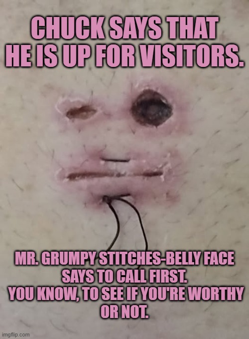 grumpy | CHUCK SAYS THAT HE IS UP FOR VISITORS. MR. GRUMPY STITCHES-BELLY FACE
SAYS TO CALL FIRST.
 YOU KNOW, TO SEE IF YOU'RE WORTHY
OR NOT. | image tagged in judgemental | made w/ Imgflip meme maker