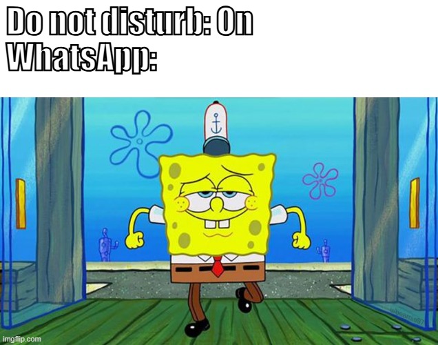 SpongeBob walking in cool | Do not disturb: On
WhatsApp: | image tagged in spongebob walking in cool | made w/ Imgflip meme maker