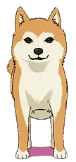 Jimihen (Hitori's dog) Meme Template