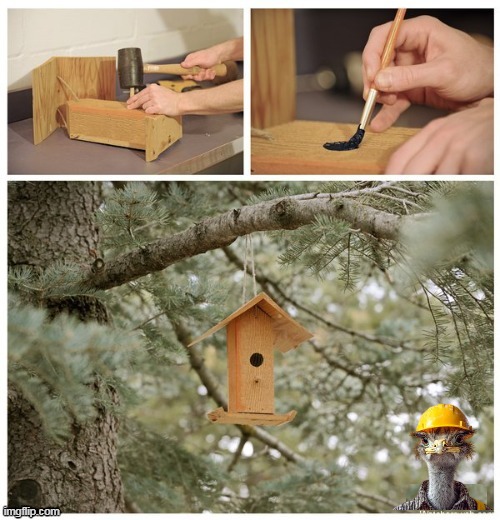 Avian Sadist Real Life Road Runner | image tagged in bird house decoy meme real life road runner meme | made w/ Imgflip meme maker