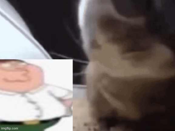 hey lois. | made w/ Imgflip meme maker