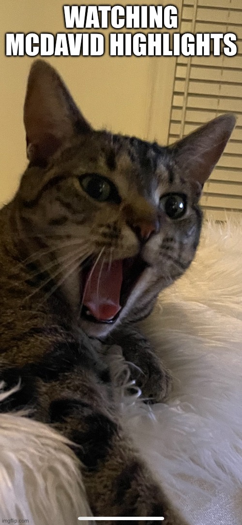 Watching McDavid Highlights | WATCHING MCDAVID HIGHLIGHTS | image tagged in fun,memes,sports,hockey,relatable,funny cats | made w/ Imgflip meme maker