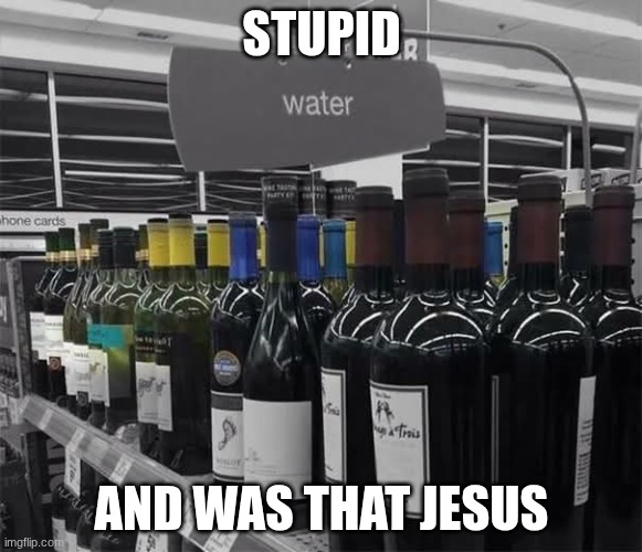 Hi | STUPID; AND WAS THAT JESUS | image tagged in water or wine | made w/ Imgflip meme maker