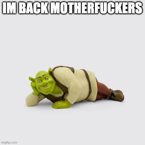 derpy sexy shrek | IM BACK MOTHERFUCKERS | image tagged in derpy sexy shrek | made w/ Imgflip meme maker