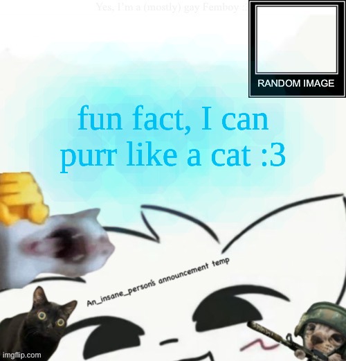 My lil announcement | fun fact, I can purr like a cat :3 | image tagged in my lil announcement | made w/ Imgflip meme maker