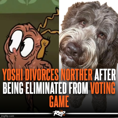 image tagged in memes,msmg,shitpost | made w/ Imgflip meme maker