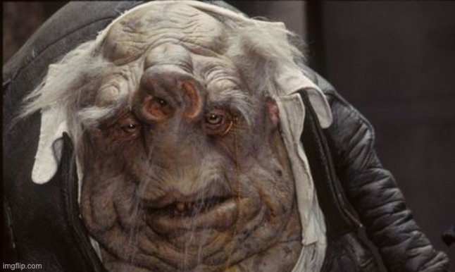 shrek with down syndrome | image tagged in shrek with down syndrome | made w/ Imgflip meme maker