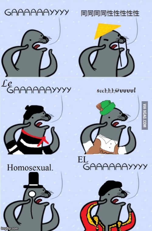 homophobic seal in different languages | image tagged in homophobic seal in different languages | made w/ Imgflip meme maker
