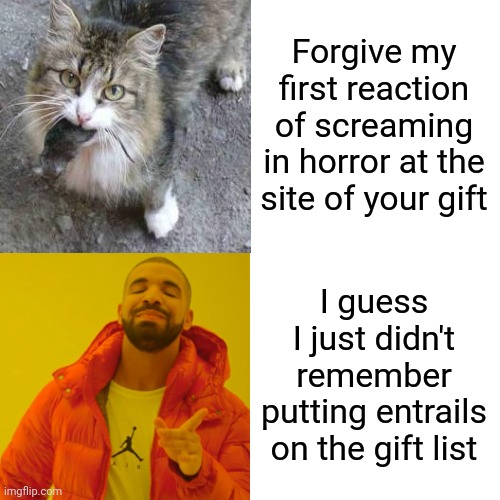 Cats And Their Gifts | Forgive my first reaction of screaming in horror at the site of your gift; I guess I just didn't remember putting entrails on the gift list | image tagged in memes,drake hotline bling,cats,mice,guts,ewwww | made w/ Imgflip meme maker