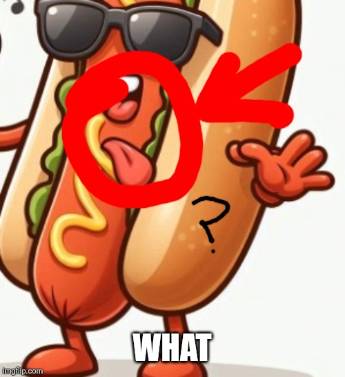 WHAT | made w/ Imgflip meme maker
