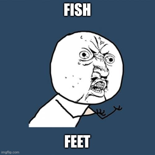 Yup | FISH; FEET | image tagged in memes,y u no | made w/ Imgflip meme maker