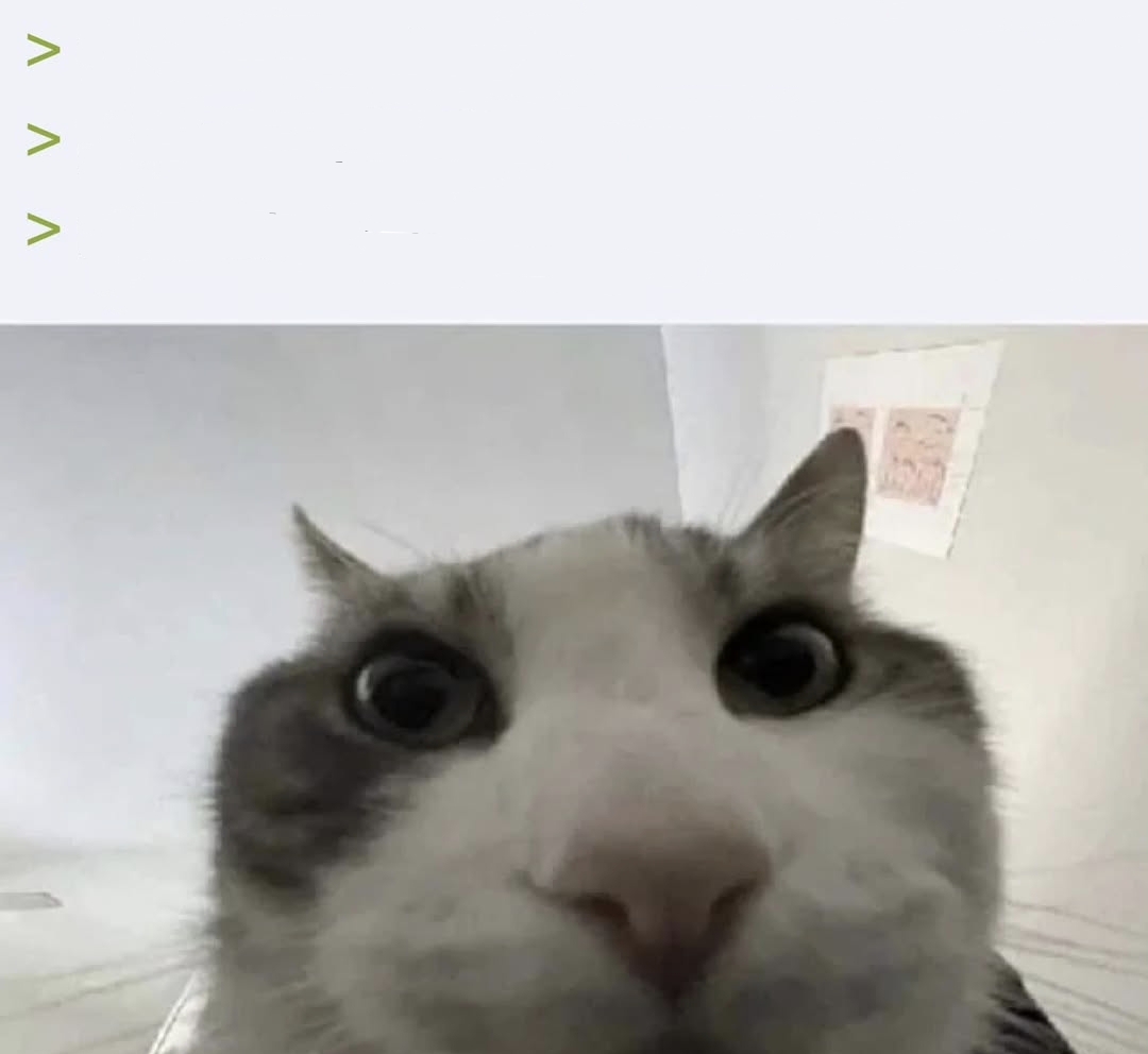 Weird Cat Blank Meme Template