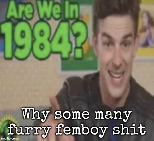Are We In 1984? | Why some many furry femboy shit | image tagged in are we in 1984,msmg | made w/ Imgflip meme maker