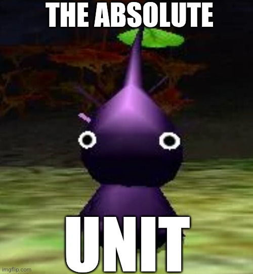 The absolute UNIT | THE ABSOLUTE; UNIT | image tagged in pikmin,nintendo,funny | made w/ Imgflip meme maker