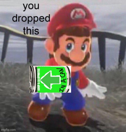 Mario You dropped this | image tagged in mario you dropped this | made w/ Imgflip meme maker