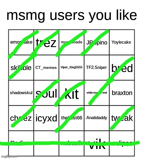 rediscoveree an old bingo | image tagged in msmg users you like | made w/ Imgflip meme maker