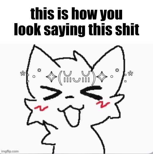 this is how you look saying this shit | *:･ﾟ✧(ꈍᴗꈍ)✧･ﾟ:* | image tagged in this is how you look saying this shit | made w/ Imgflip meme maker
