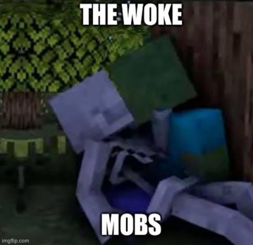 wokecraft | image tagged in wokecraft,memes,funny,minecraft,wtf,mobs | made w/ Imgflip meme maker