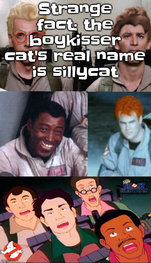 la inconsistency | Strange fact: the boykisser cat's real name is sillycat | image tagged in la inconsistency | made w/ Imgflip meme maker