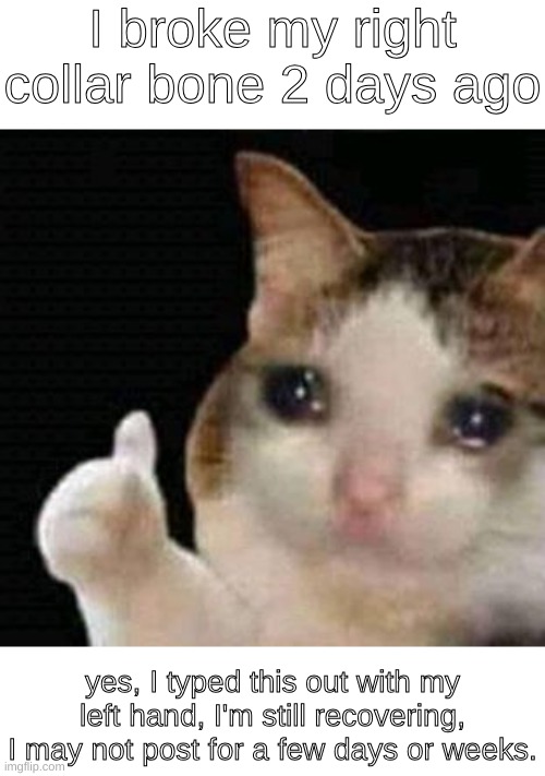 :( | I broke my right collar bone 2 days ago; yes, I typed this out with my left hand, I'm still recovering, I may not post for a few days or weeks. | image tagged in sad thumbs up cat,have a good day,sad but true | made w/ Imgflip meme maker