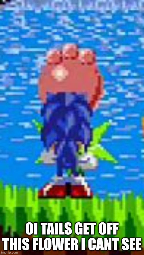 OI TAILS GET OFF THIS FLOWER I CANT SEE | made w/ Imgflip meme maker