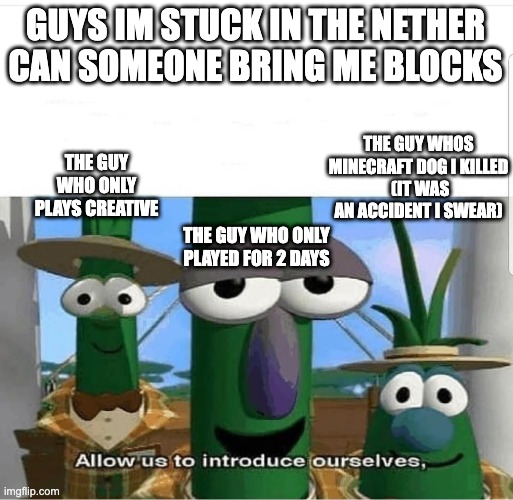 "I wonder why RPGCat left the server?" | GUYS IM STUCK IN THE NETHER CAN SOMEONE BRING ME BLOCKS; THE GUY WHOS MINECRAFT DOG I KILLED
 (IT WAS AN ACCIDENT I SWEAR); THE GUY WHO ONLY PLAYS CREATIVE; THE GUY WHO ONLY PLAYED FOR 2 DAYS | image tagged in allow us to introduce ourselves | made w/ Imgflip meme maker